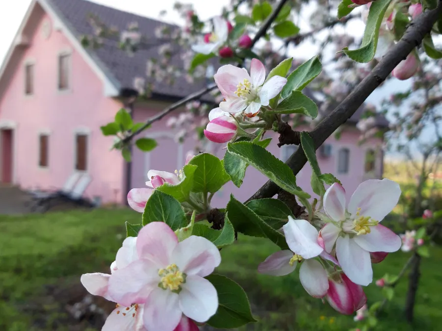 Prijeten oddih na podeželju
